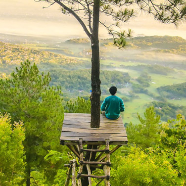 a person sits on a small platform in a tree and looks out on a beautiful view with forests and fields below